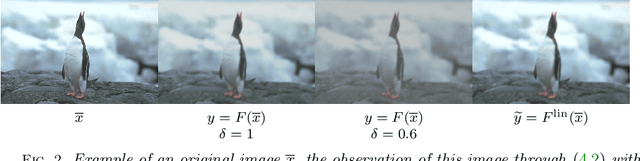 Figure 3 for Learning truly monotone operators with applications to nonlinear inverse problems