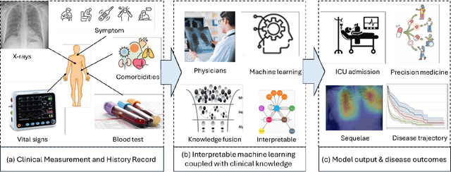 Figure 1 for Interpretable Machine Learning Enhances Disease Prognosis: Applications on COVID-19 and Onward