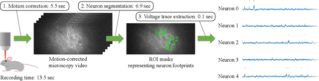 Figure 1 for Real-time Neuron Segmentation for Voltage Imaging