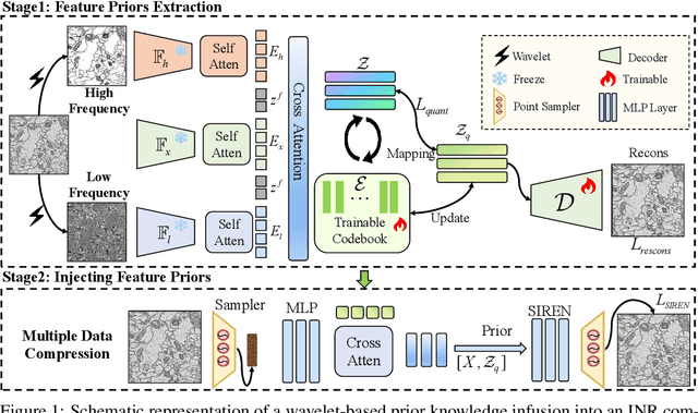 Figure 1 for UniCompress: Enhancing Multi-Data Medical Image Compression with Knowledge Distillation