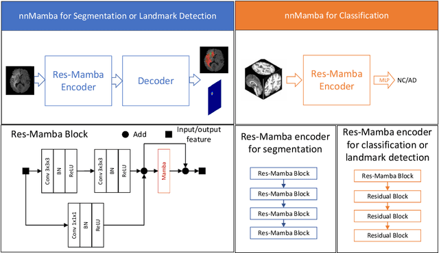 Figure 1 for nnMamba: 3D Biomedical Image Segmentation, Classification and Landmark Detection with State Space Model