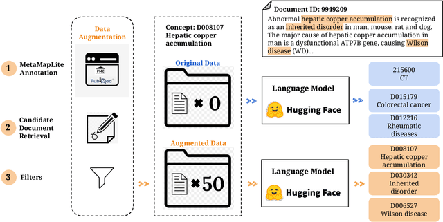 Figure 2 for Boosting Biomedical Concept Extraction by Rule-Based Data Augmentation