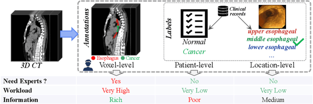 Figure 1 for Boosting Medical Image-based Cancer Detection via Text-guided Supervision from Reports
