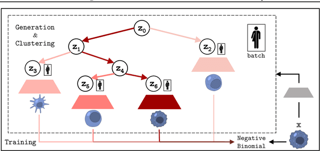 Figure 1 for scTree: Discovering Cellular Hierarchies in the Presence of Batch Effects in scRNA-seq Data