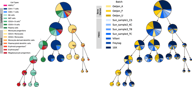 Figure 3 for scTree: Discovering Cellular Hierarchies in the Presence of Batch Effects in scRNA-seq Data