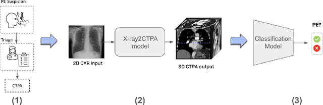 Figure 1 for X-ray2CTPA: Generating 3D CTPA scans from 2D X-ray conditioning