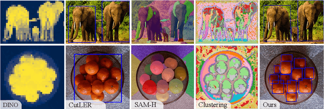 Figure 1 for The devil is in the object boundary: towards annotation-free instance segmentation using Foundation Models