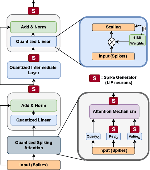 Figure 1 for Exploring Extreme Quantization in Spiking Language Models