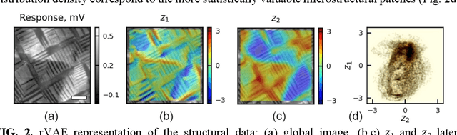 Figure 2 for Unraveling the Impact of Initial Choices and In-Loop Interventions on Learning Dynamics in Autonomous Scanning Probe Microscopy