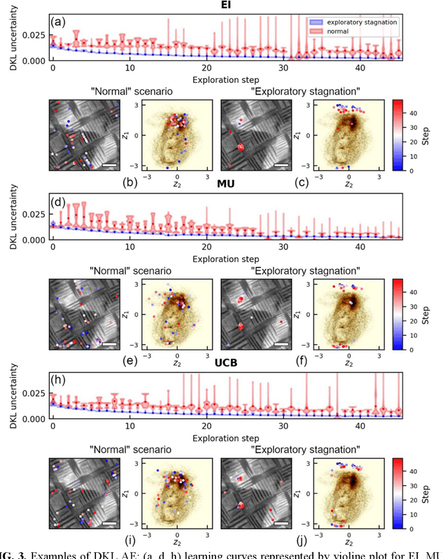 Figure 3 for Unraveling the Impact of Initial Choices and In-Loop Interventions on Learning Dynamics in Autonomous Scanning Probe Microscopy