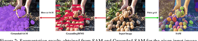 Figure 3 for PerSense: Personalized Instance Segmentation in Dense Images