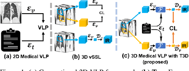 Figure 1 for T3D: Towards 3D Medical Image Understanding through Vision-Language Pre-training