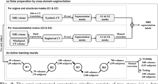 Figure 3 for MRISegmentator-Abdomen: A Fully Automated Multi-Organ and Structure Segmentation Tool for T1-weighted Abdominal MRI