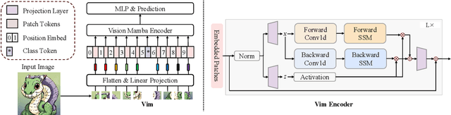 Figure 1 for Vim-F: Visual State Space Model Benefiting from Learning in the Frequency Domain