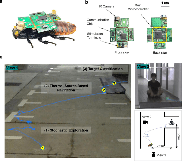 Figure 1 for Gait-Adaptive Navigation and Human Searching in field with Cyborg Insect