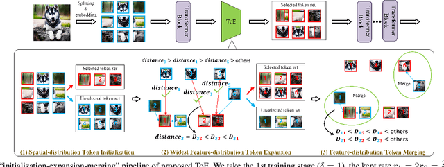 Figure 2 for A General and Efficient Training for Transformer via Token Expansion