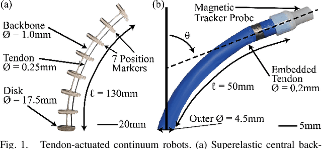 Figure 1 for Using Neural Networks to Model Hysteretic Kinematics in Tendon-Actuated Continuum Robots