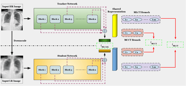 Figure 3 for Low-Resolution Chest X-ray Classification via Knowledge Distillation and Multi-task Learning