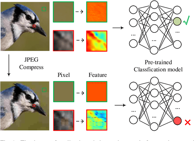 Figure 1 for Lightweight Adaptive Feature De-drifting for Compressed Image Classification