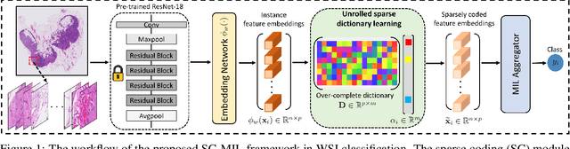 Figure 1 for SC-MIL: Sparsely Coded Multiple Instance Learning for Whole Slide Image Classification