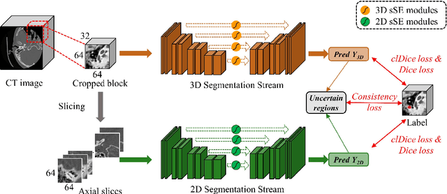 Figure 1 for UADSN: Uncertainty-Aware Dual-Stream Network for Facial Nerve Segmentation