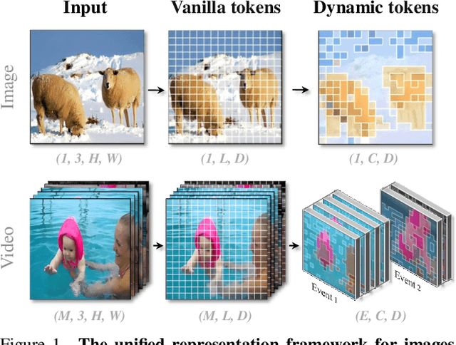 Figure 1 for Chat-UniVi: Unified Visual Representation Empowers Large Language Models with Image and Video Understanding