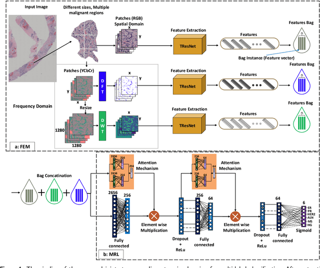 Figure 1 for Joint Stream: Malignant Region Learning for Breast Cancer Diagnosis