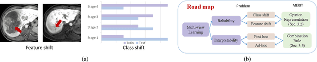 Figure 1 for MERIT: Multi-view Evidential learning for Reliable and Interpretable liver fibrosis sTaging