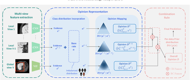 Figure 3 for MERIT: Multi-view Evidential learning for Reliable and Interpretable liver fibrosis sTaging