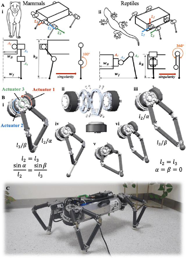 Figure 1 for Overconstrained Robotic Limb with Energy-Efficient, Omni-directional Locomotion