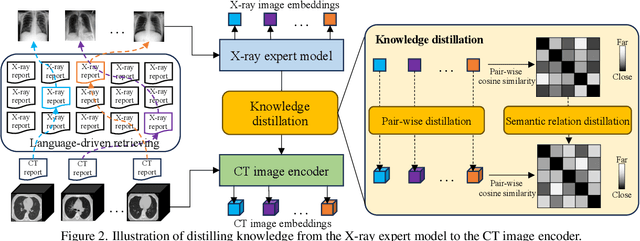 Figure 3 for Bootstrapping Chest CT Image Understanding by Distilling Knowledge from X-ray Expert Models