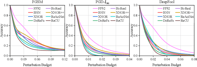 Figure 2 for ARBiBench: Benchmarking Adversarial Robustness of Binarized Neural Networks