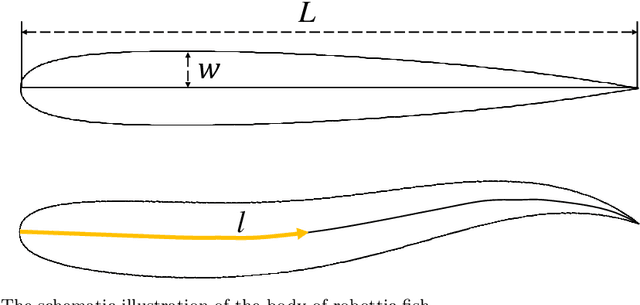 Figure 1 for Efficient Navigation of a Robotic Fish Swimming Across the Vortical Flow Field