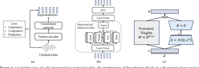 Figure 1 for Seamless Language Expansion: Enhancing Multilingual Mastery in Self-Supervised Models