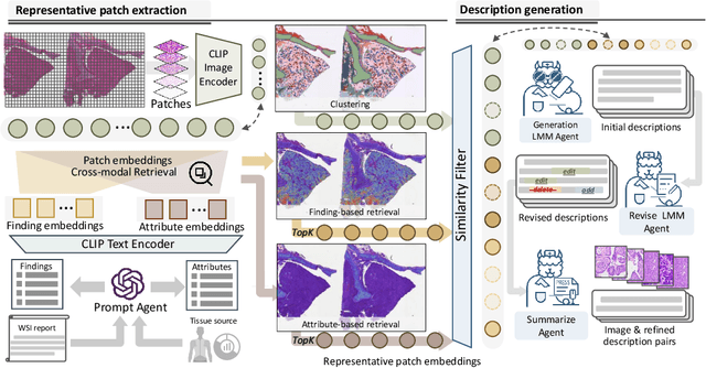 Figure 2 for PathGen-1.6M: 1.6 Million Pathology Image-text Pairs Generation through Multi-agent Collaboration