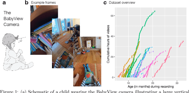 Figure 2 for The BabyView dataset: High-resolution egocentric videos of infants' and young children's everyday experiences
