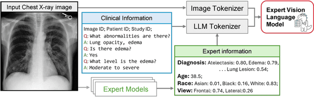 Figure 2 for D-Rax: Domain-specific Radiologic assistant leveraging multi-modal data and eXpert model predictions