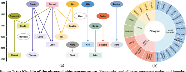 Figure 2 for ChimpACT: A Longitudinal Dataset for Understanding Chimpanzee Behaviors