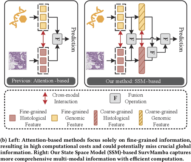 Figure 1 for SurvMamba: State Space Model with Multi-grained Multi-modal Interaction for Survival Prediction