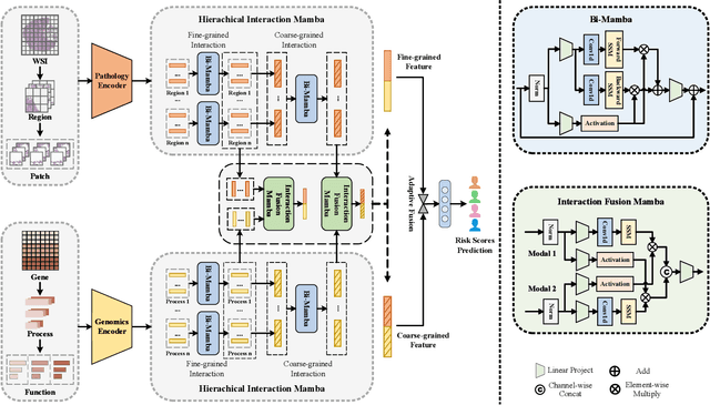 Figure 3 for SurvMamba: State Space Model with Multi-grained Multi-modal Interaction for Survival Prediction