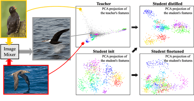 Figure 1 for On Good Practices for Task-Specific Distillation of Large Pretrained Models