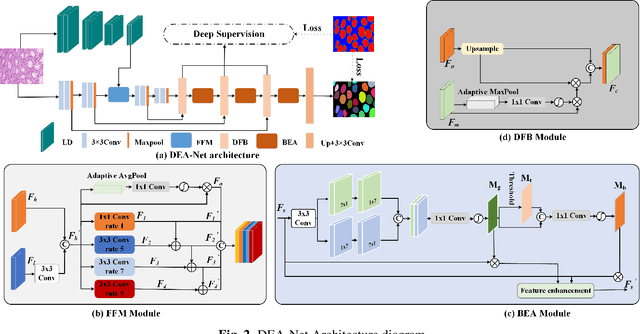 Figure 3 for Gland segmentation via dual encoders and boundary-enhanced attention