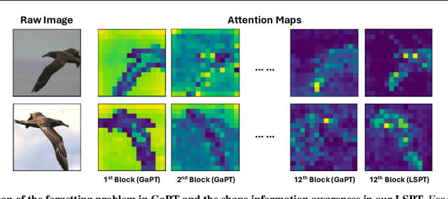 Figure 1 for LSPT: Long-term Spatial Prompt Tuning for Visual Representation Learning