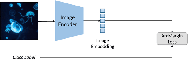 Figure 1 for Optimizing CLIP Models for Image Retrieval with Maintained Joint-Embedding Alignment