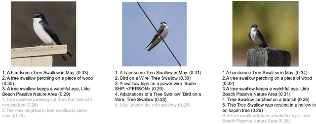 Figure 4 for Optimizing CLIP Models for Image Retrieval with Maintained Joint-Embedding Alignment