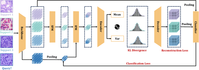 Figure 2 for Plug-and-Play Feature Generation for Few-Shot Medical Image Classification