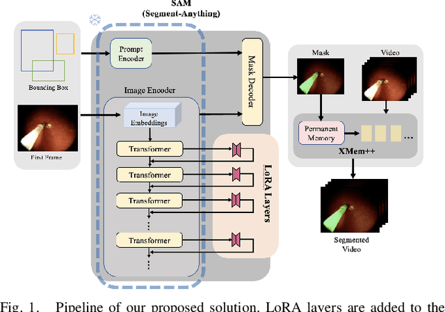 Figure 1 for Adapting SAM for Surgical Instrument Tracking and Segmentation in Endoscopic Submucosal Dissection Videos