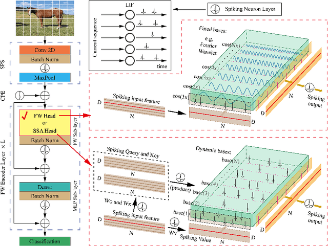 Figure 1 for Fourier or Wavelet bases as counterpart self-attention in spikformer for efficient visual classification