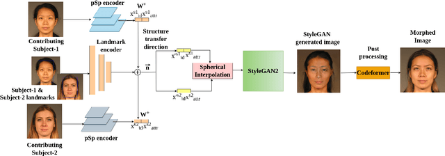 Figure 1 for MLSD-GAN -- Generating Strong High Quality Face Morphing Attacks using Latent Semantic Disentanglement