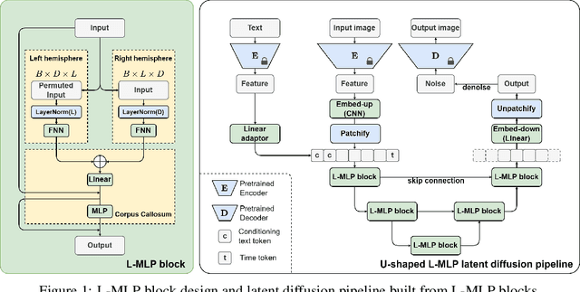 Figure 1 for Lateralization MLP: A Simple Brain-inspired Architecture for Diffusion